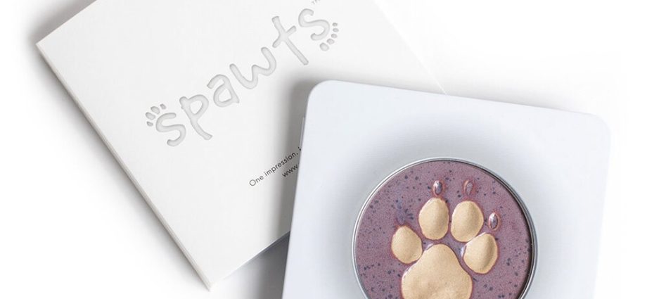 dog paw print art